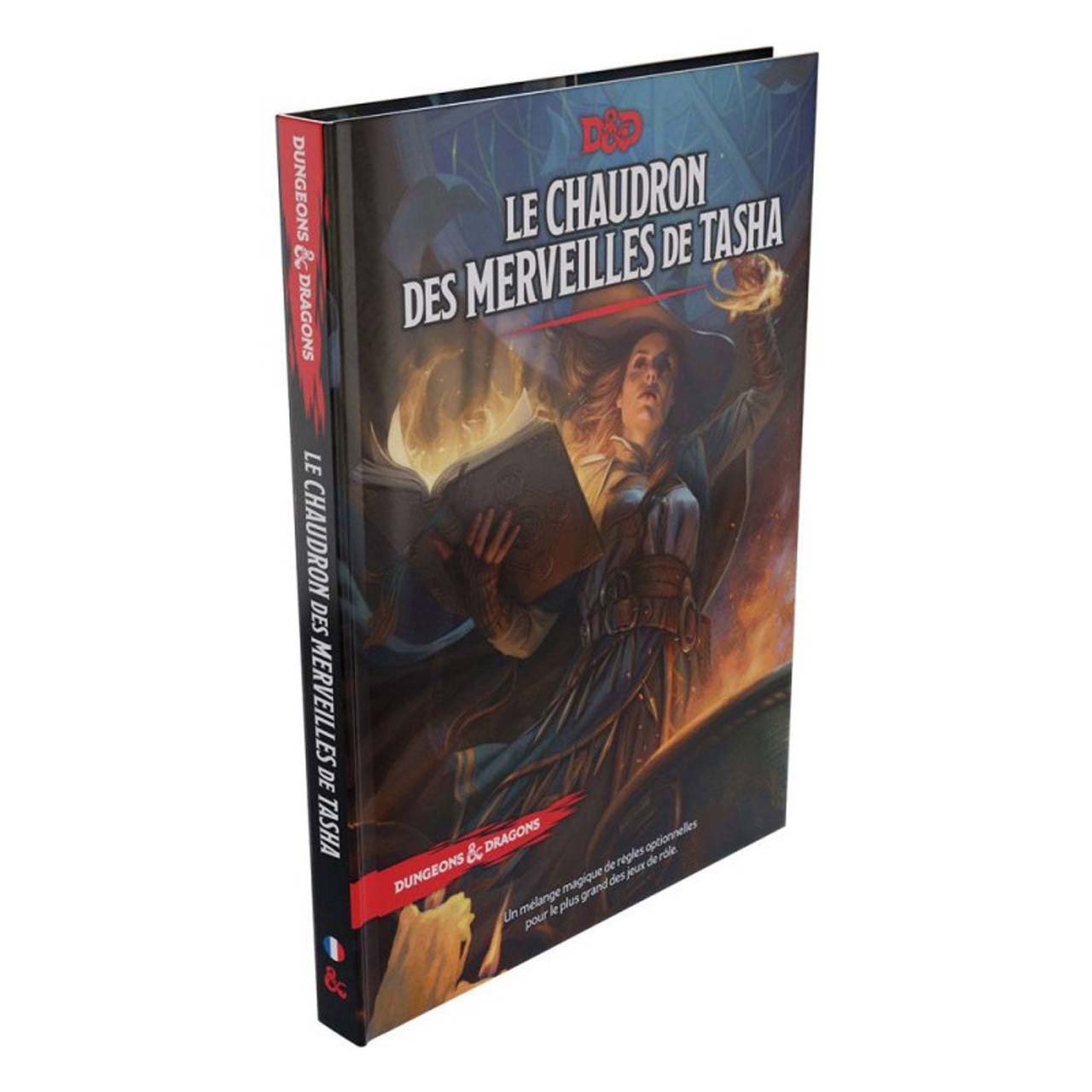 dungeons & dragons chaudron des merveilles de Tasha